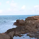 Locos Torrevieja